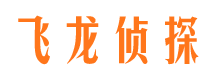 塔河市侦探调查公司